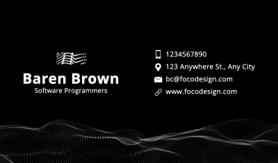 Software Programmer Personal Information Business Card