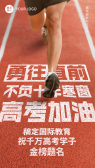 模板缩略图