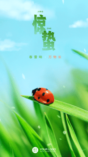 惊蛰节气问候祝福手绘动态手机海报预览效果