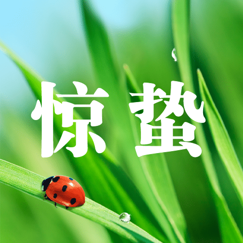 惊蛰节气问候祝福实景公众号次图预览效果