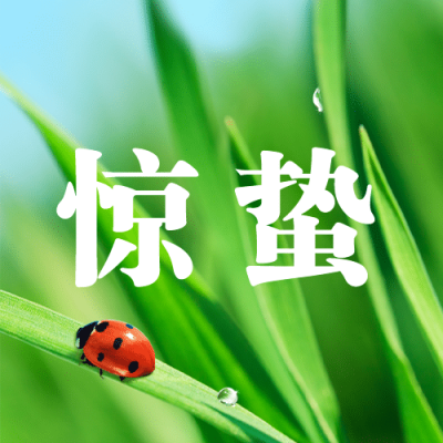 惊蛰节气问候祝福实景公众号次图