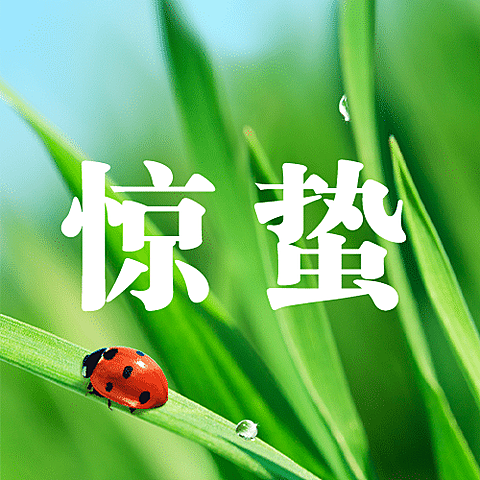 惊蛰节气问候祝福实景公众号次图