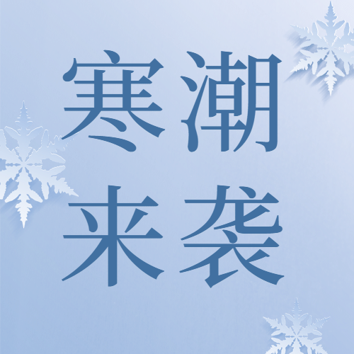 大雪节气祝福剪纸风插画公众号次图预览效果