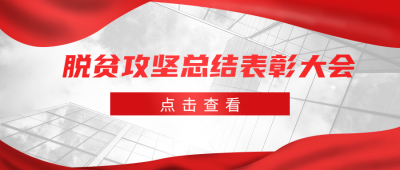 脱贫攻坚党政会议党政公众号首图