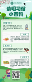 模板缩略图
