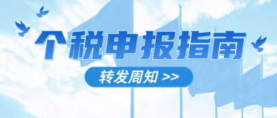 个税申报民生政策政务公众号首图