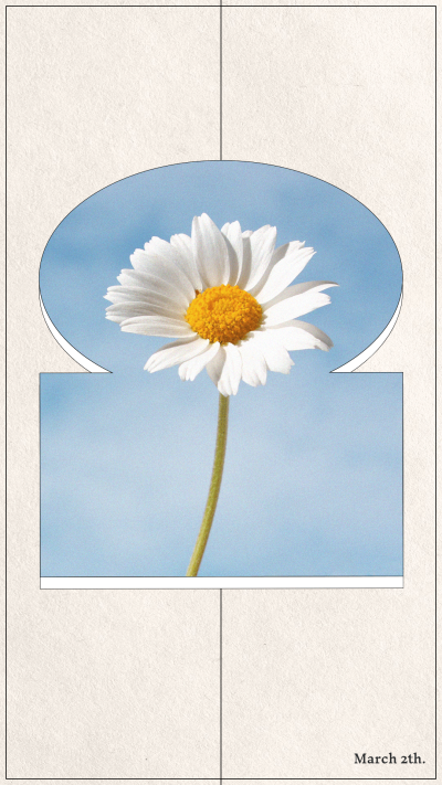 Minimalist Flower Incentive Template Inatagram Story