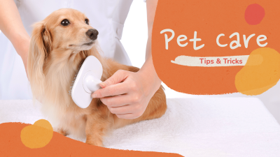 Fresh Pet Care Services YouTube Thumbnail