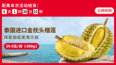 模板缩略图