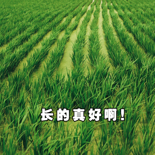 韭菜理财股票基金搞笑沙雕表情包预览效果