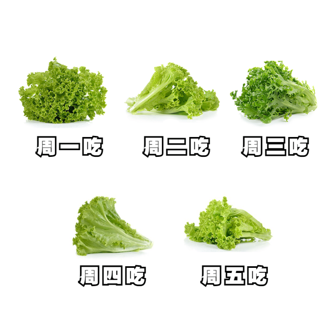 韭菜理财股票基金搞笑沙雕表情包预览效果
