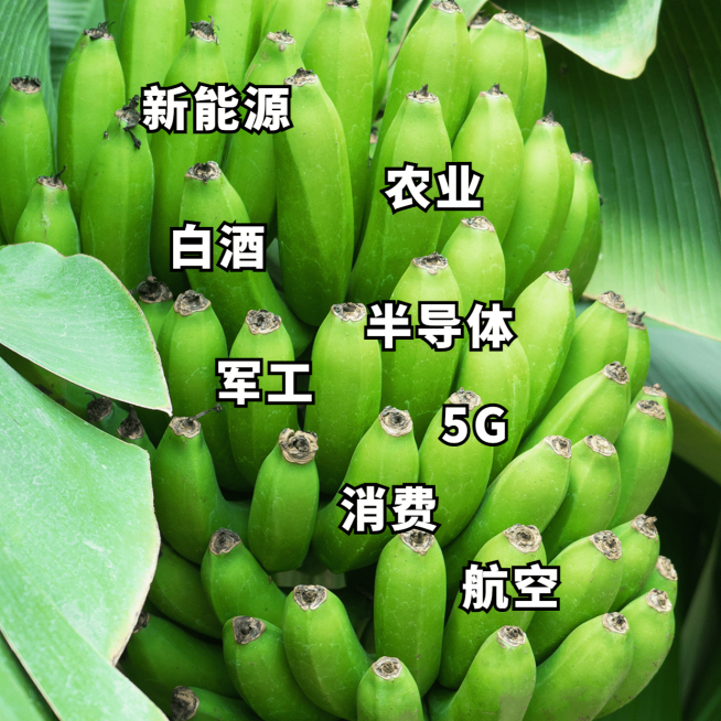 韭菜理财股票基金搞笑沙雕表情包预览效果