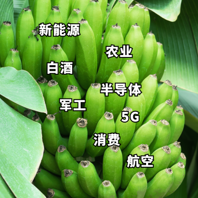 韭菜理财股票基金搞笑沙雕表情包