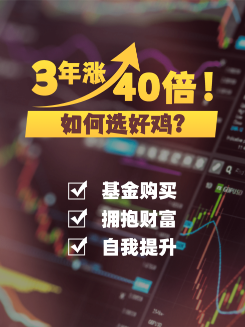 基金理财股票教程小红书封面配图预览效果