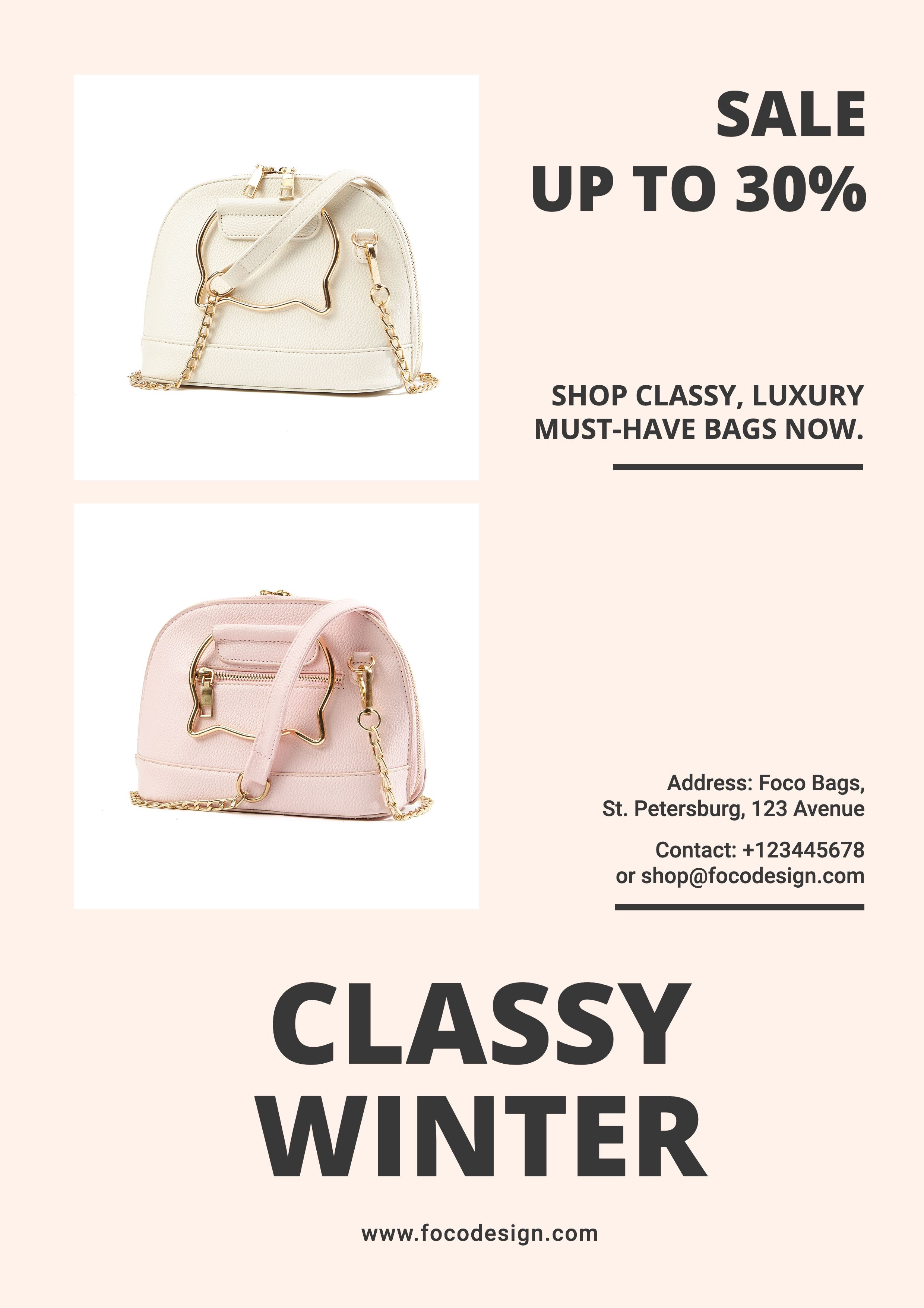 Classy Winter Women's Handbag New Arrival Propaganda Flyer