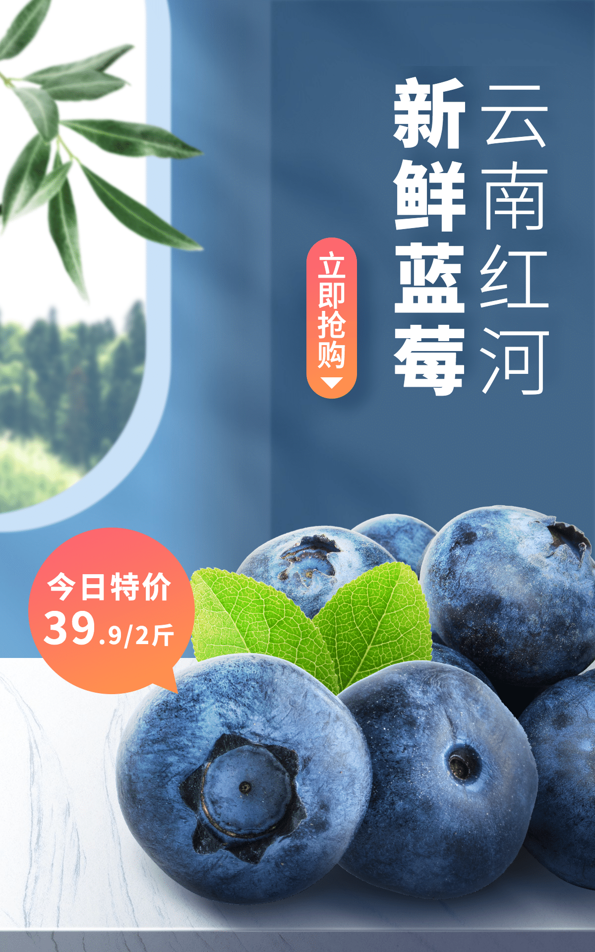 小程序商城水果蓝莓海报