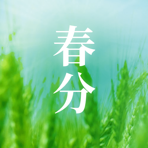 春分节气春天你好实景公众号次图预览效果
