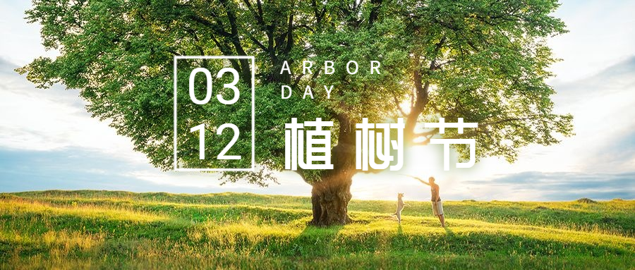 植树节实景公众号首图预览效果