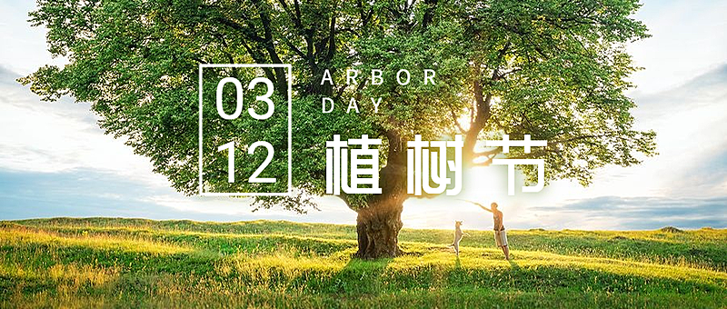 植树节实景公众号首图