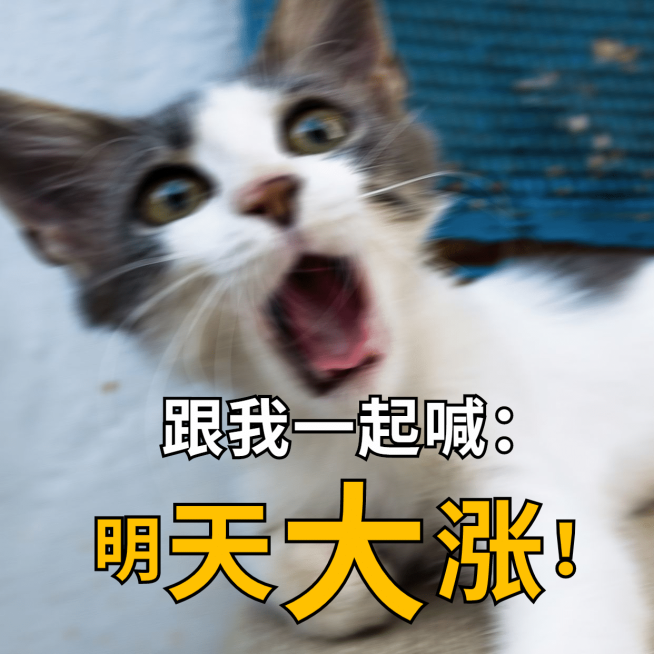 基金理财股票投资猫涨希望表情包预览效果