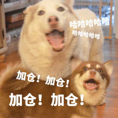 基金理财股票投资狗狗高兴表情包