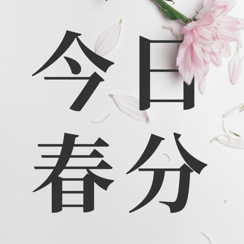 春分节气问候春天实景公众号次图预览效果