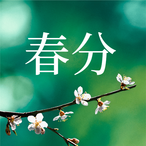 春分节气祝福春天你好公众号次图预览效果