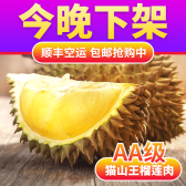 模板缩略图