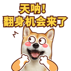 小狗期待可爱萌宠动态表情包预览效果