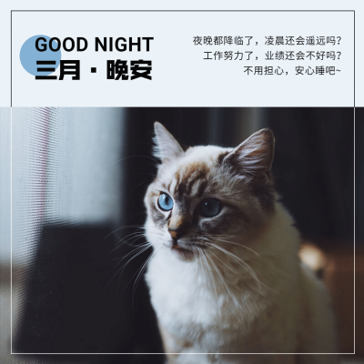 晚安日签正能量萌宠配图
