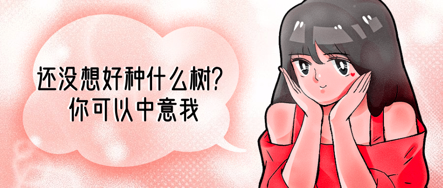 七夕节趣味土味情话公众号首图预览效果