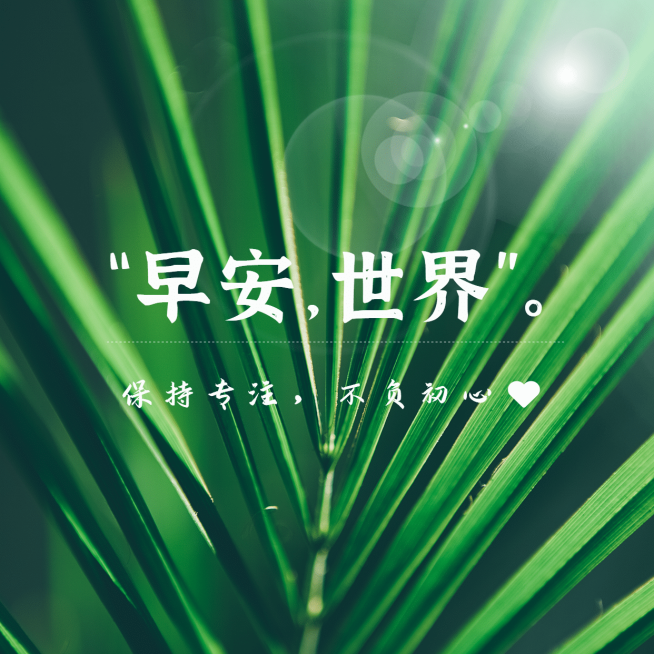 早安问候唯美简约方形海报预览效果