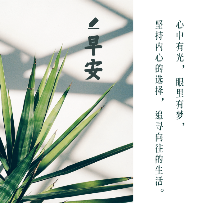 早安问候唯美简约方形海报预览效果