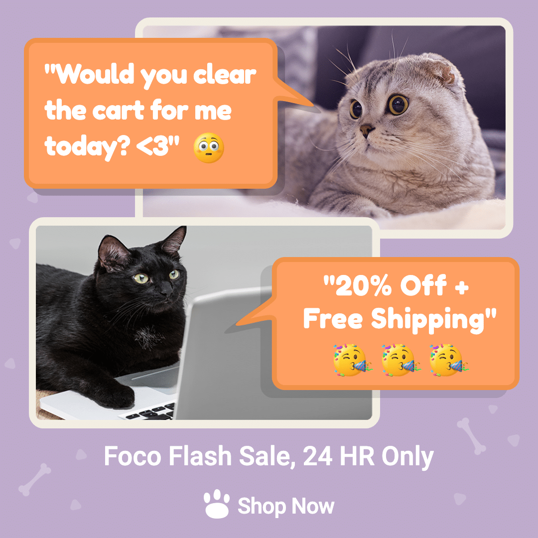 Creative Original Cat Conversation Store Discount Promotion Ecommerce Story