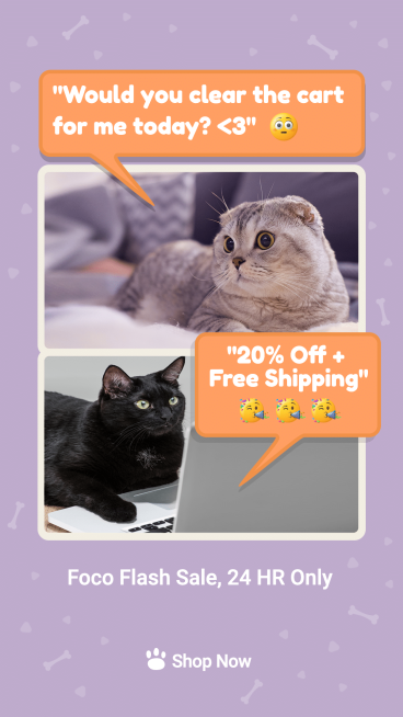 Creative Cats Conversation Pet Retailers Promotion Ecommerce Story预览效果