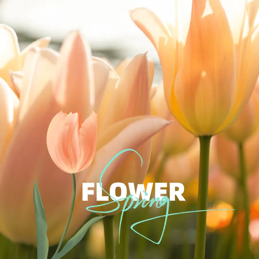 三月三图片图片免费下载 三月三图片设计素材 三月三图片模板