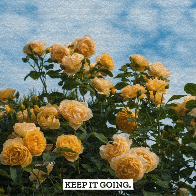 Flowers Mark Template预览效果