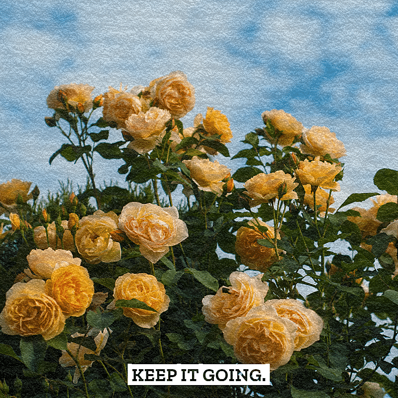 Flowers Mark Template