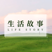 模板缩略图
