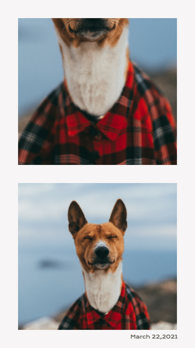 Minimalist Style Skirt Dog Life Record Instagram Story