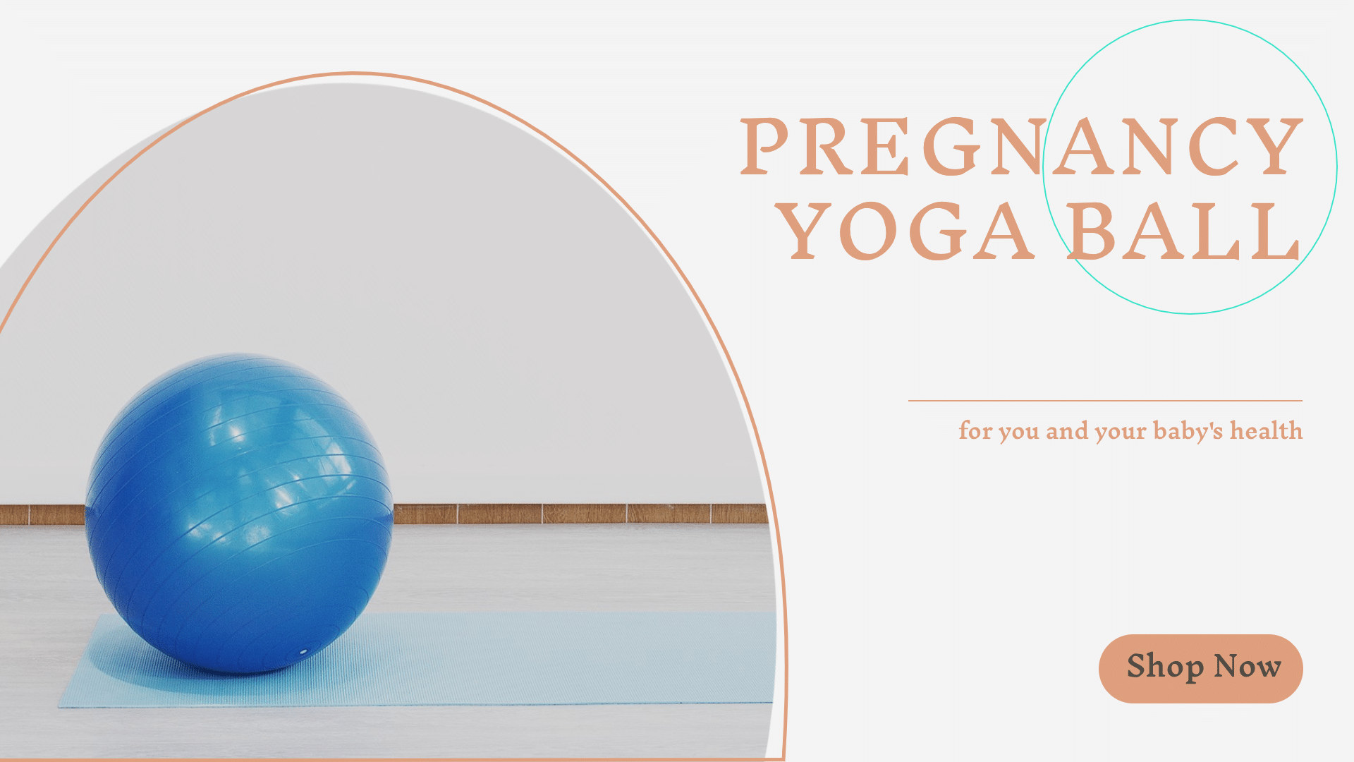 Simple Pregnancy Yoga Ball Ecommerce Banner