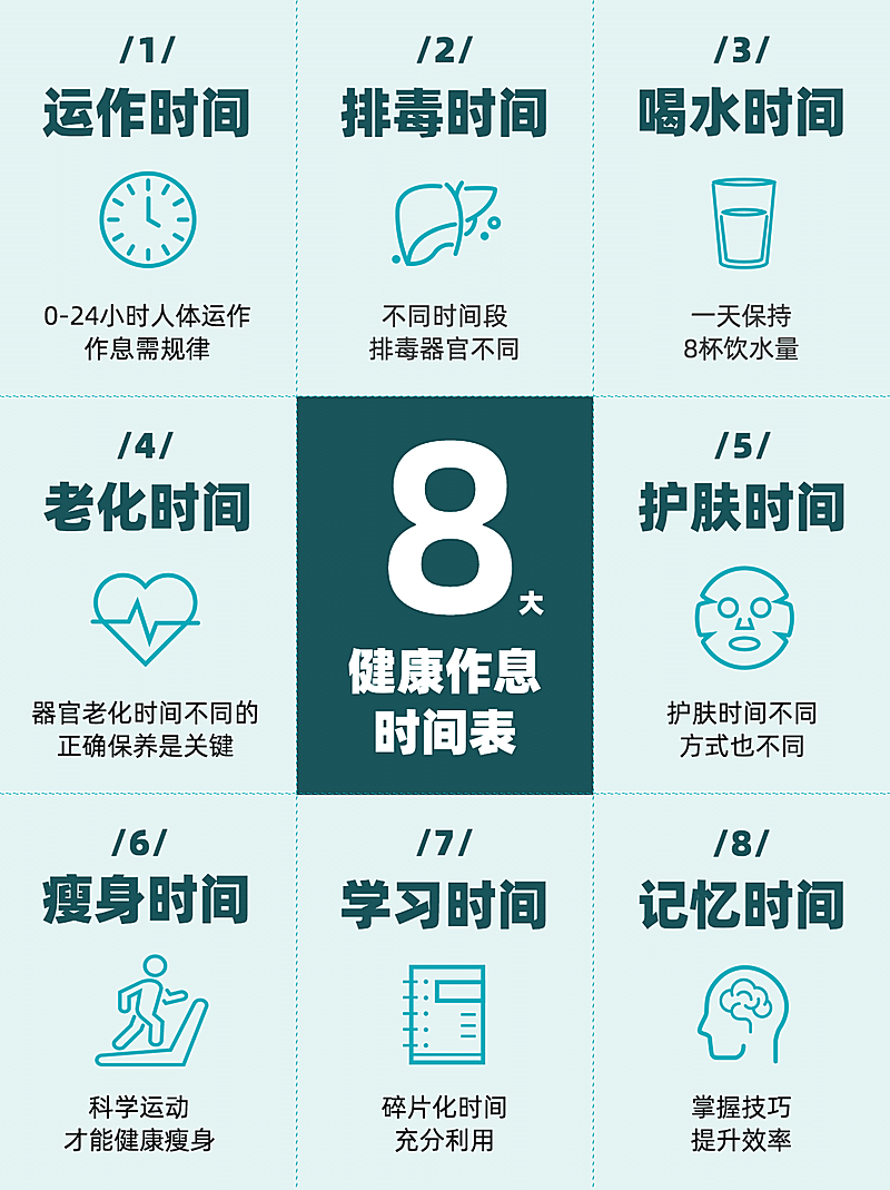 健康养生知识科普作息小红书配图