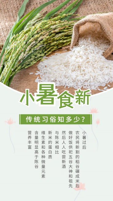 小暑稻穗实景排版风节气科普预览效果