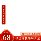 模板缩略图