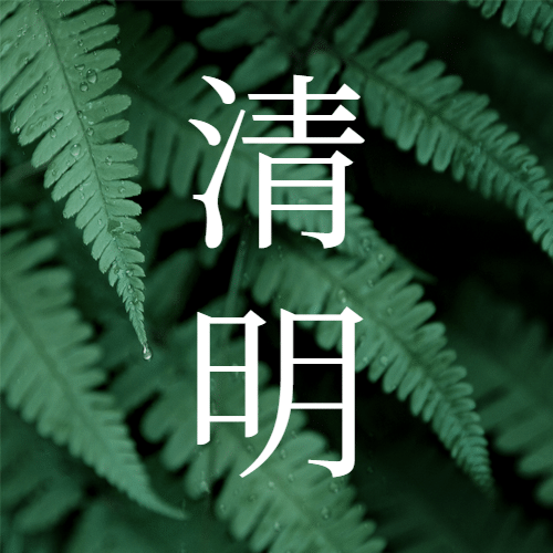 清明节春天追思实景公众号次图预览效果