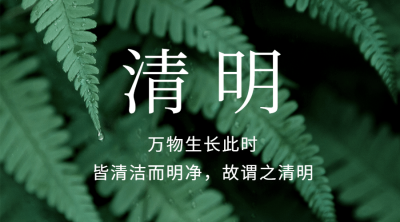 清明节春天追思实景横版海报