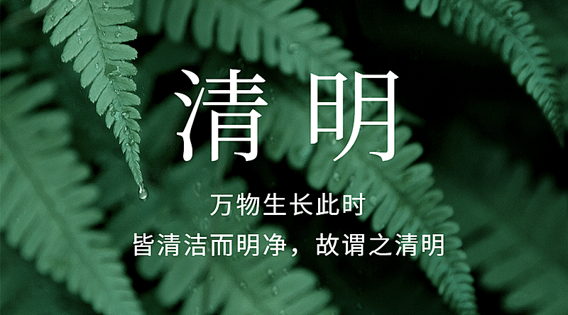 清明节春天追思实景横版海报