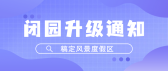模板缩略图