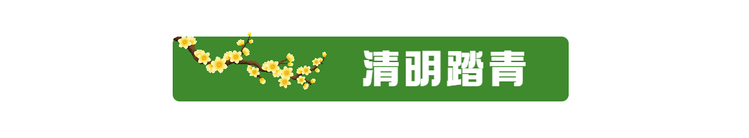 清明节踏青出游春天线框动态分割线预览效果