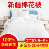 模板缩略图